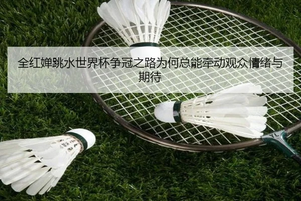 全红婵跳水世界杯争冠之路为何总能牵动观众情绪与期待